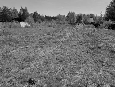 Zdjęcie 15697617
