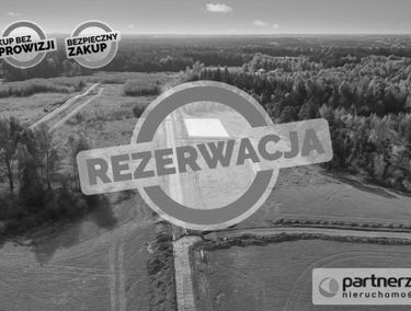 Zdjęcie 15699640