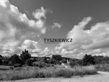 Zdjęcie 15700745