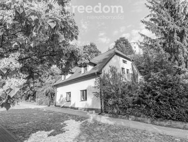 Zdjęcie 15700783