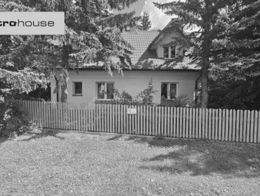 Zdjęcie 15700807