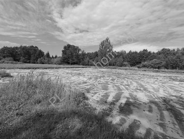 Zdjęcie 15701808