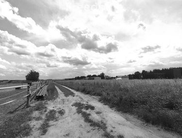 Zdjęcie 15701818