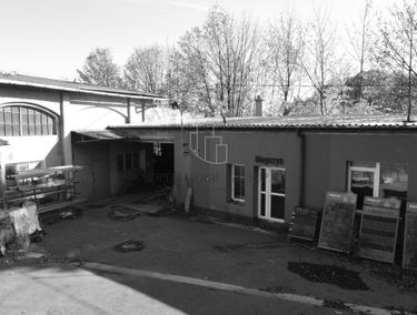 Zdjęcie 15701962