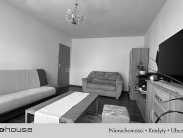 Zdjęcie 15702023