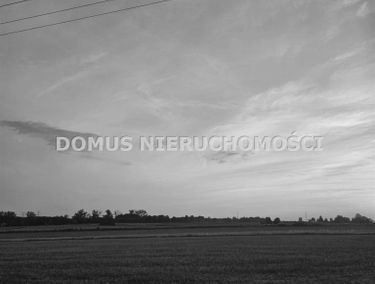 Zdjęcie 15702391