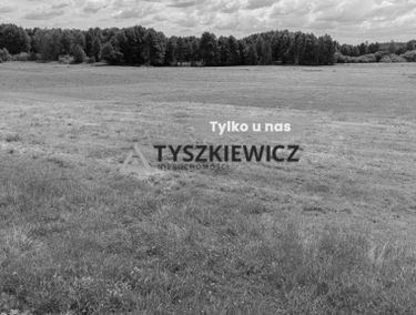 Zdjęcie 15702555