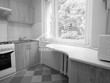 Zdjęcie 15704103