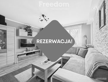 Zdjęcie 15704171