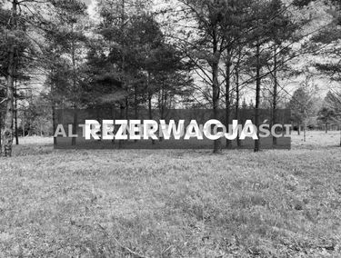 Zdjęcie 15704232