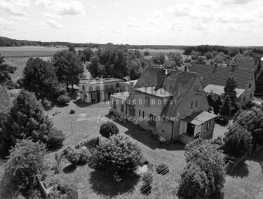 Zdjęcie 15704782