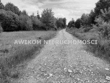 Zdjęcie 15705479