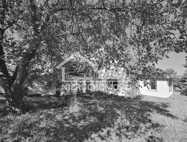Zdjęcie 15705834