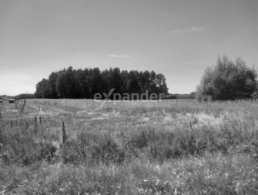 Zdjęcie 15705961