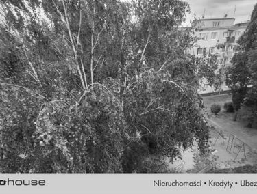 Zdjęcie 15706075