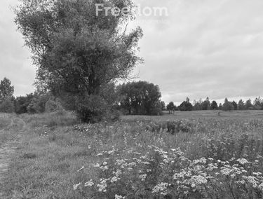 Zdjęcie 15706512