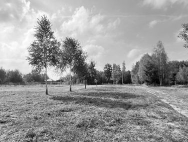 Zdjęcie 15706671