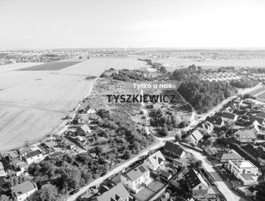 Zdjęcie 15706868