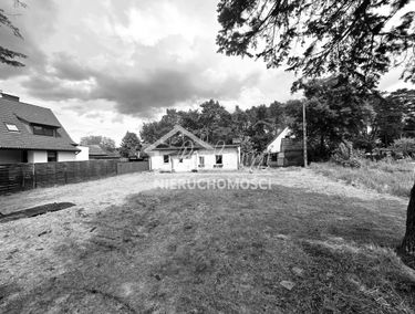 Zdjęcie 15708535