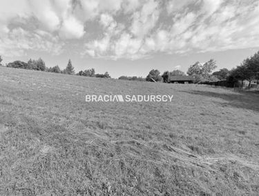 Zdjęcie 15708729