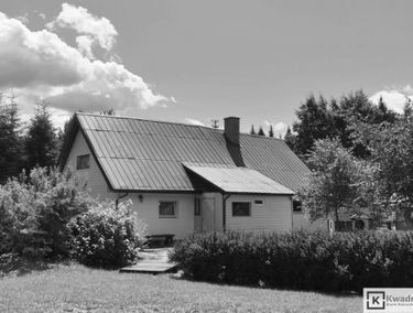 Zdjęcie 15709486