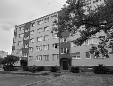 Zdjęcie 15709811