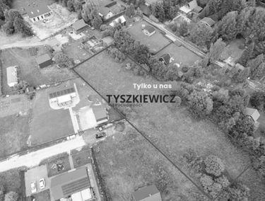 Zdjęcie 15709892