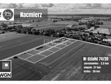 Zdjęcie 15711285