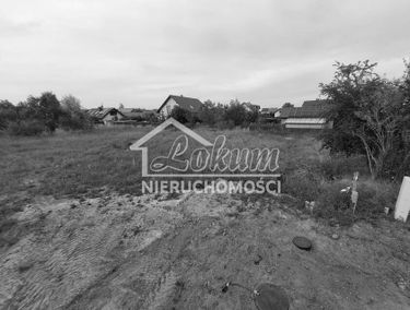 Zdjęcie 15711353