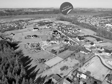 Zdjęcie 15712891