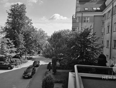 Zdjęcie 15713535