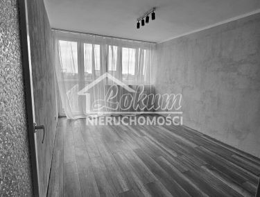 Zdjęcie 15714506