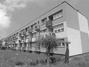 Zdjęcie 15714707