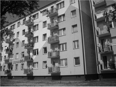 Zdjęcie 15714946