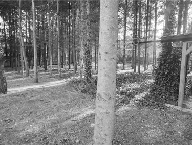 Zdjęcie 15716193