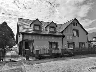 Zdjęcie 15716866