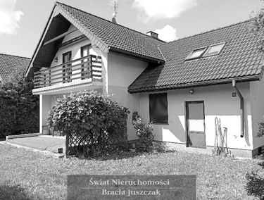 Zdjęcie 15717547