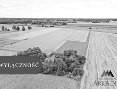 Zdjęcie 15717933