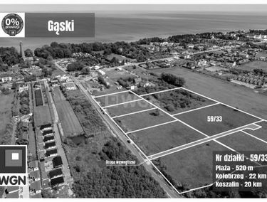 Zdjęcie 15719320