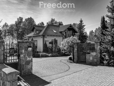 Zdjęcie 15719360