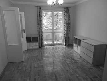 Zdjęcie 15719686