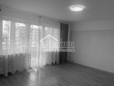 Zdjęcie 15720393
