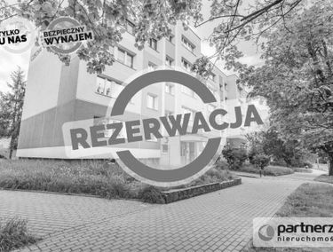 Zdjęcie 15720441