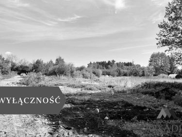 Zdjęcie 15720605
