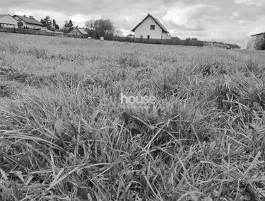 Zdjęcie 15722395