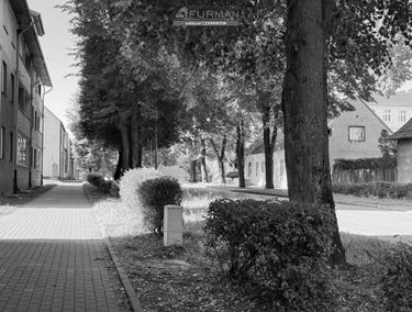 Zdjęcie 15723218