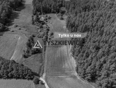 Zdjęcie 15723309