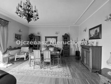 Zdjęcie 15724937