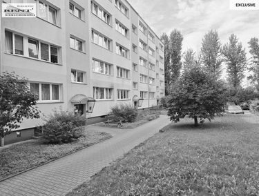 Zdjęcie 15725095