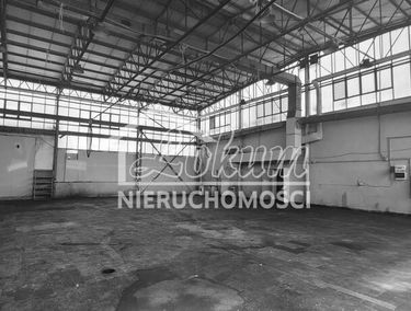 Zdjęcie 15725445